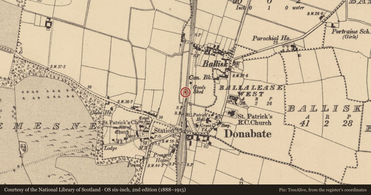 Ordnance Survey six-inch map, 2nd edition (1888–1915) covering the location of Excavation - miscellaneous, Beaverstown, County Dublin, with a pin at the register's coordinates