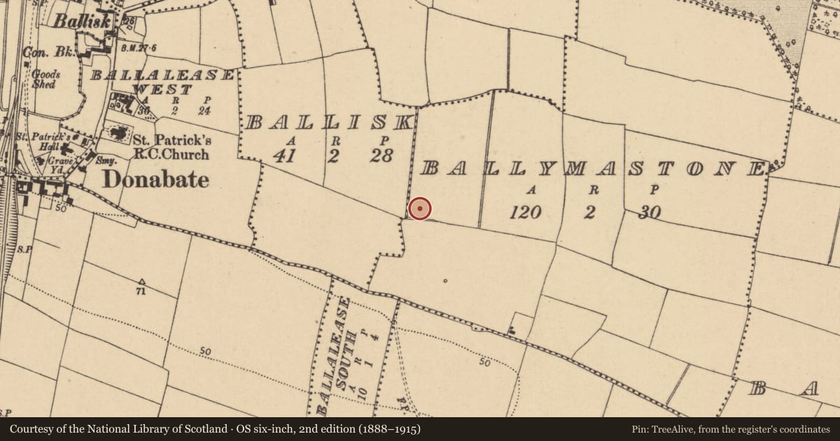 Ordnance Survey six-inch map, 2nd edition (1888–1915) covering the location of Enclosure, Ballymastone, County Dublin, with a pin at the register's coordinates