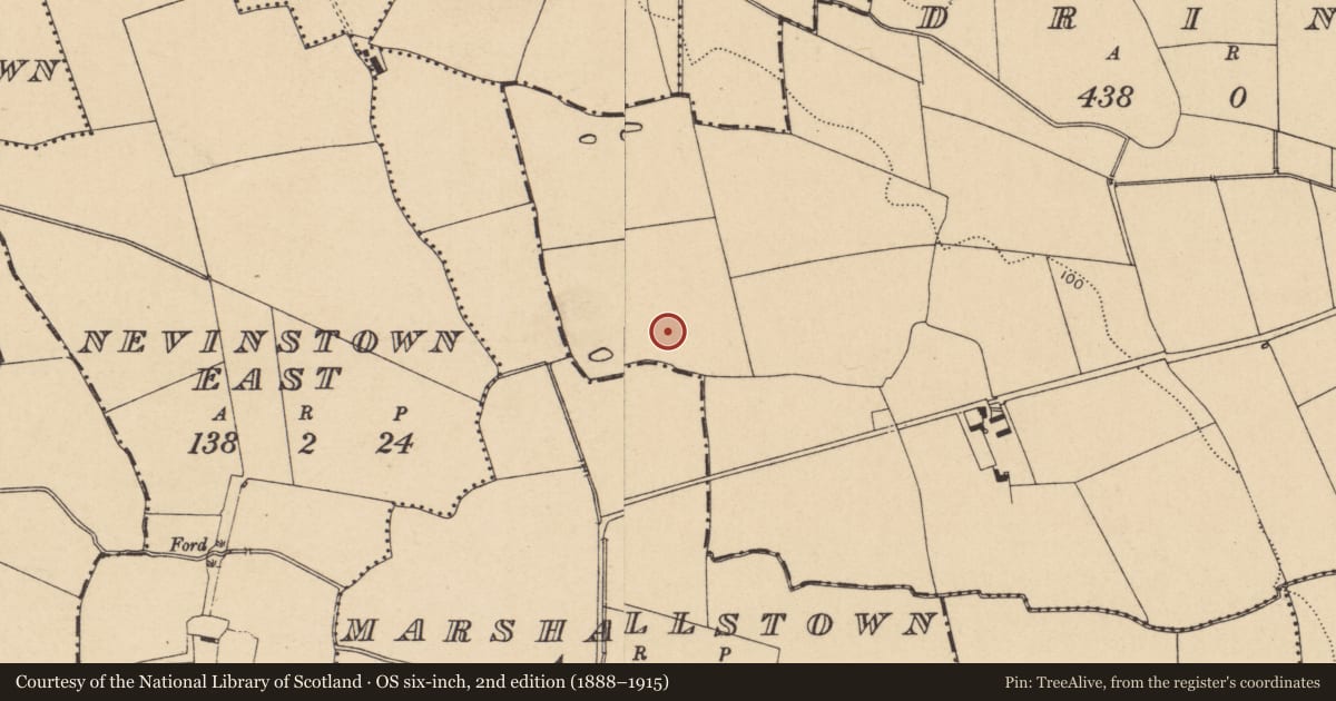 Ordnance Survey six-inch map, 2nd edition (1888–1915) covering the location of Burial, Drinan, County Dublin, with a pin at the register's coordinates