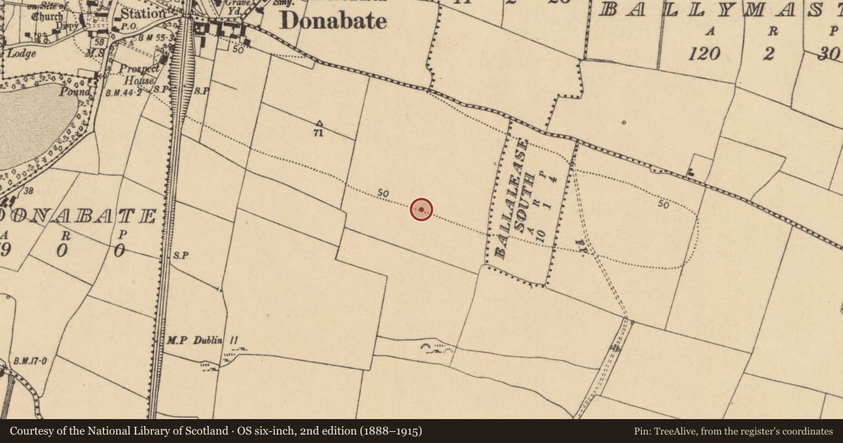 Ordnance Survey six-inch map, 2nd edition (1888–1915) covering the location of Souterrain, Corballis, County Dublin, with a pin at the register's coordinates