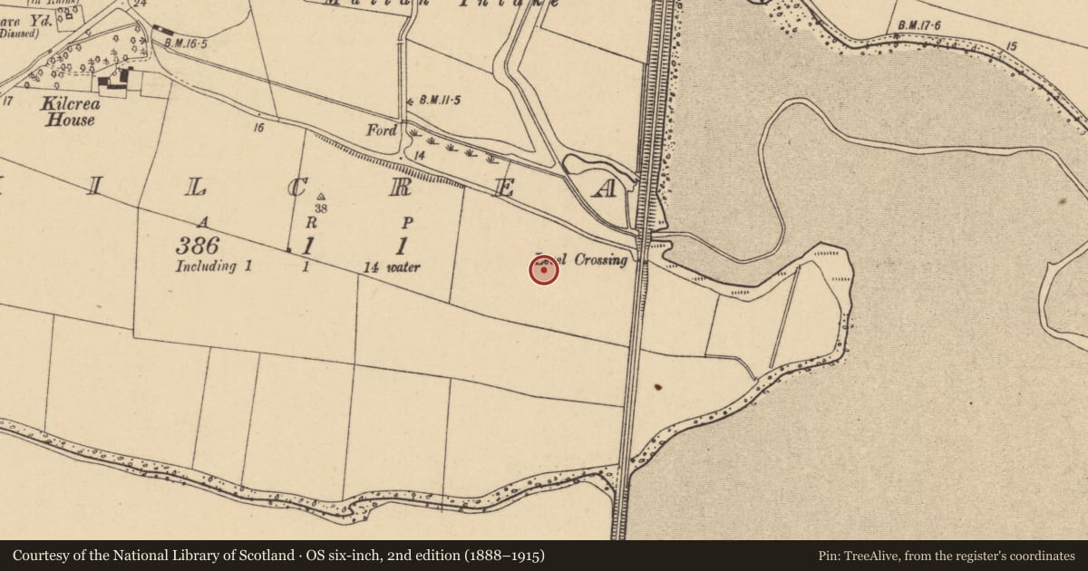 Ordnance Survey six-inch map, 2nd edition (1888–1915) covering the location of Earthwork, Kilcrea, County Dublin, with a pin at the register's coordinates