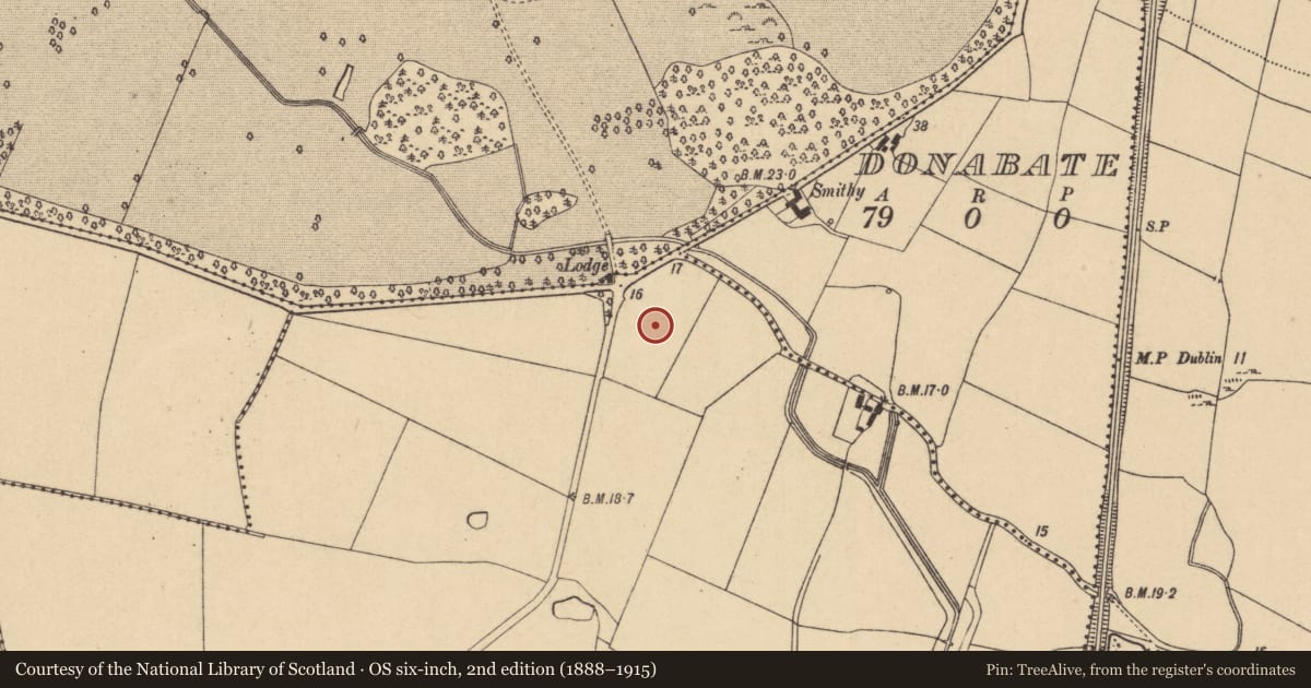 Ordnance Survey six-inch map, 2nd edition (1888–1915) covering the location of Quarry, Kilcrea, County Dublin, with a pin at the register's coordinates