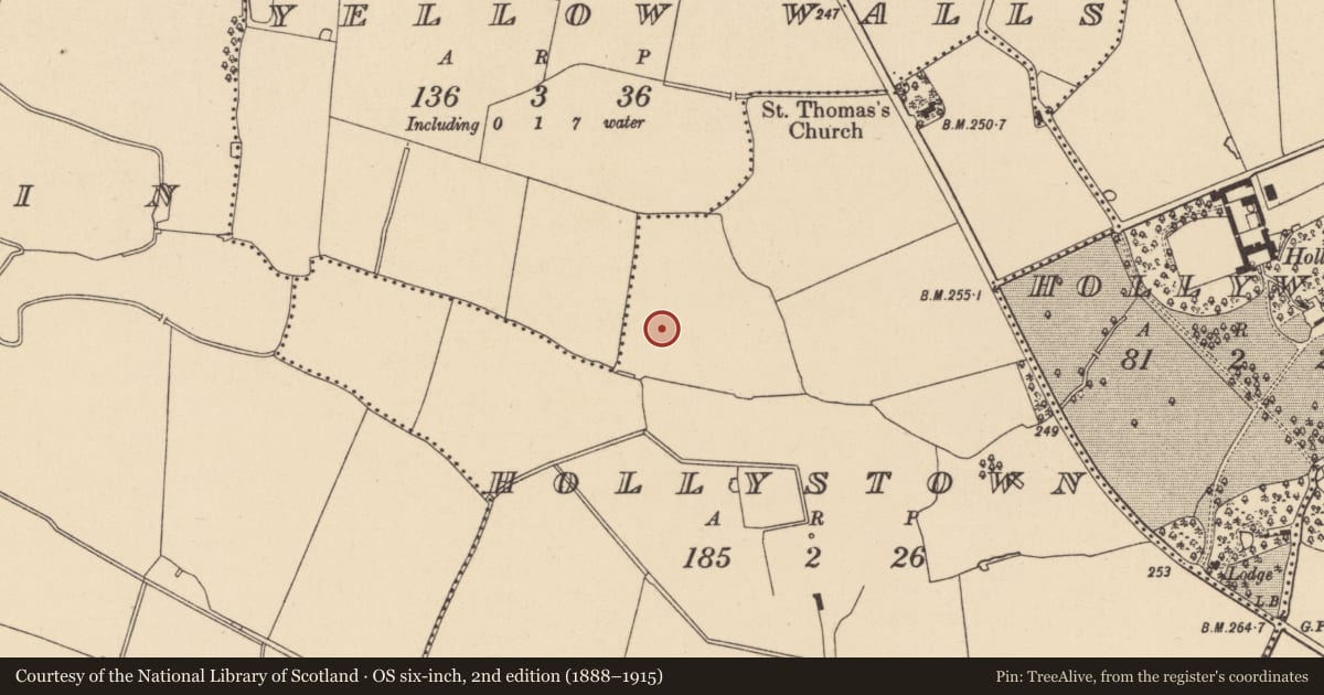 Ordnance Survey six-inch map, 2nd edition (1888–1915) covering the location of Earthwork, Hollystown, County Dublin, with a pin at the register's coordinates
