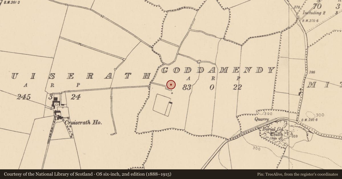 Ordnance Survey six-inch map, 2nd edition (1888–1915) covering the location of Field system, Goddamendy, County Dublin, with a pin at the register's coordinates