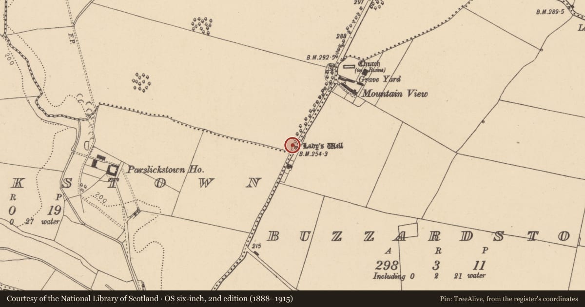 Ordnance Survey six-inch map, 2nd edition (1888–1915) covering the location of Ritual site - holy well, Tyrrelstown, County Dublin, with a pin at the register's coordinates