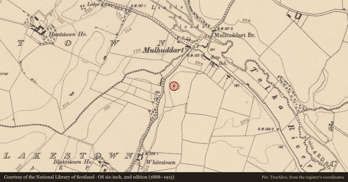 Ordnance Survey six-inch map, 2nd edition (1888–1915) covering the location of Designed landscape - tree-ring, Coolmine, County Dublin, with a pin at the register's coordinates