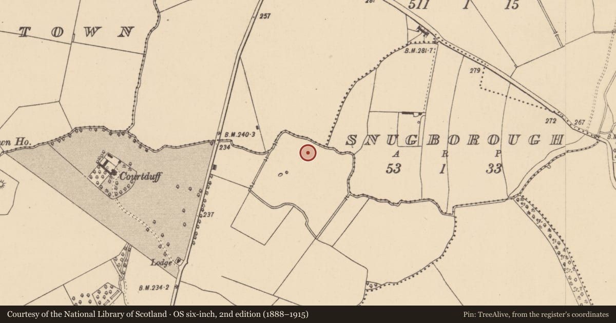 Ordnance Survey six-inch map, 2nd edition (1888–1915) covering the location of Mound, Corduff, County Dublin, with a pin at the register's coordinates