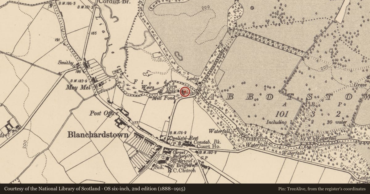 Ordnance Survey six-inch map, 2nd edition (1888–1915) covering the location of Mill - unclassified, Blanchardstown, County Dublin, with a pin at the register's coordinates