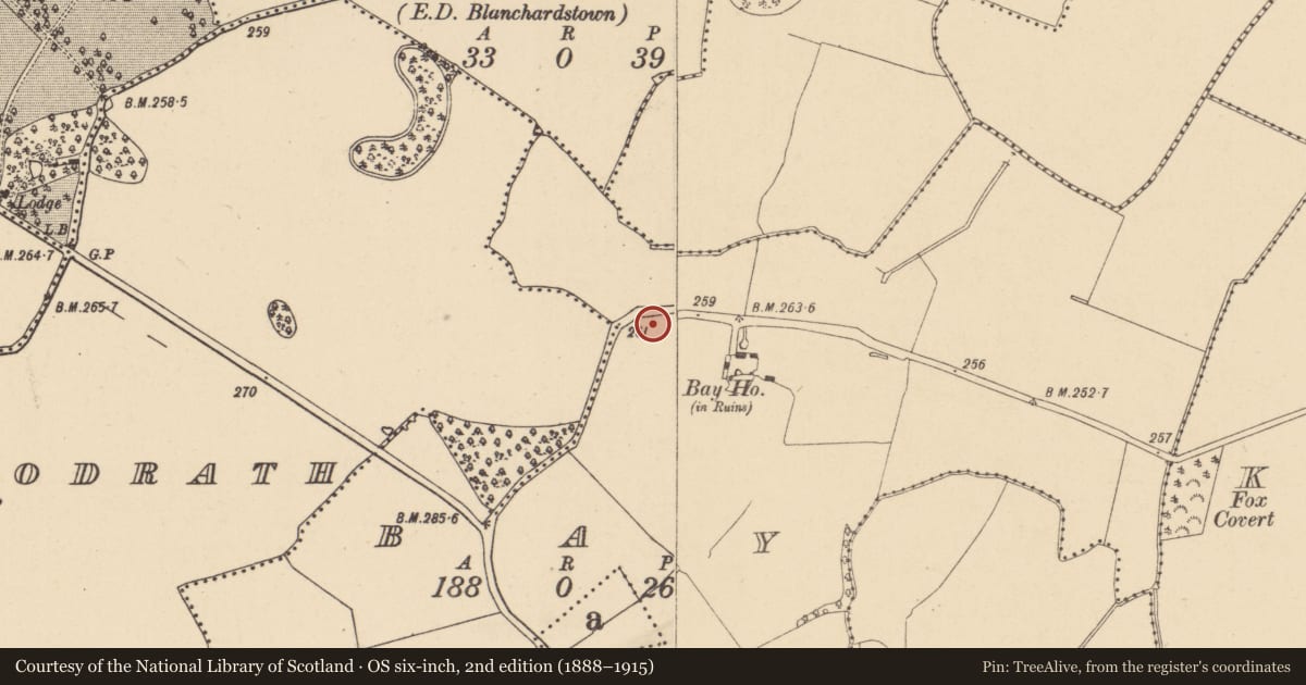 Ordnance Survey six-inch map, 2nd edition (1888–1915) covering the location of Excavation - miscellaneous, Bay, County Dublin, with a pin at the register's coordinates