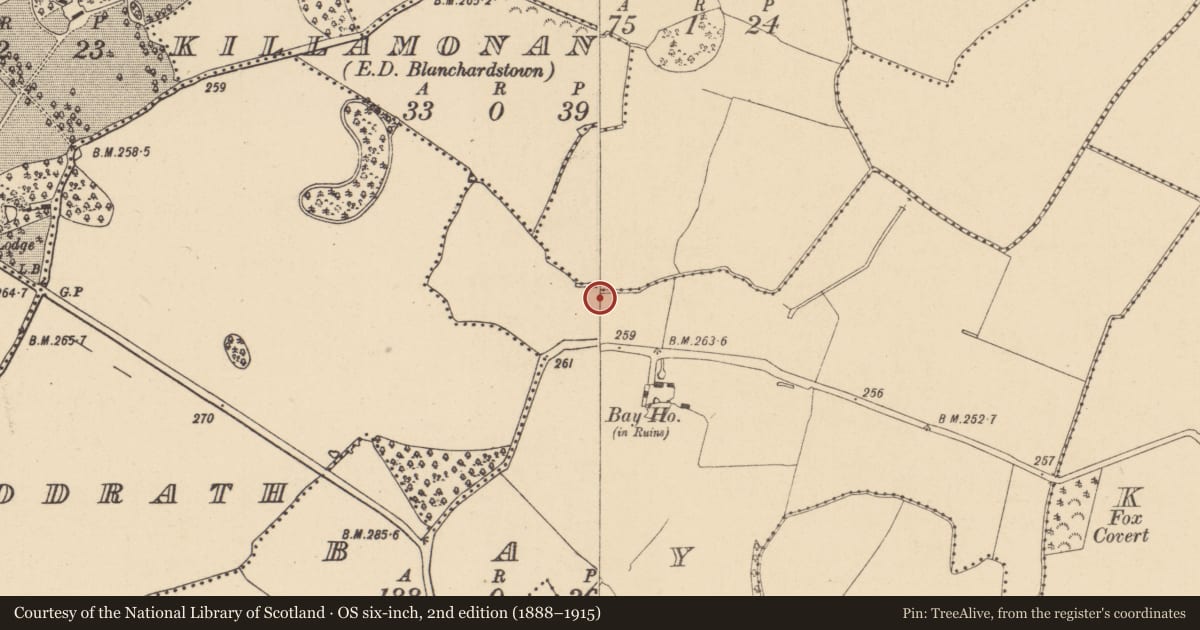 Ordnance Survey six-inch map, 2nd edition (1888–1915) covering the location of Pit, Bay, County Dublin, with a pin at the register's coordinates