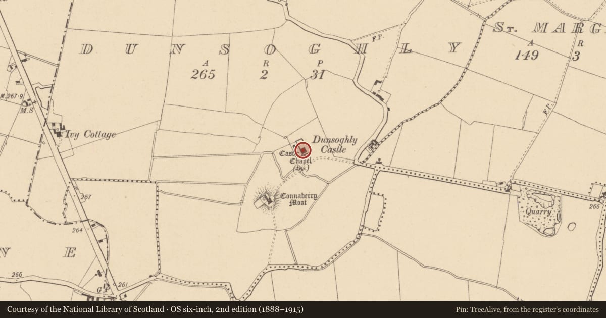 Ordnance Survey six-inch map, 2nd edition (1888–1915) covering the location of Castle - tower house, Dunsoghly, County Dublin, with a pin at the register's coordinates