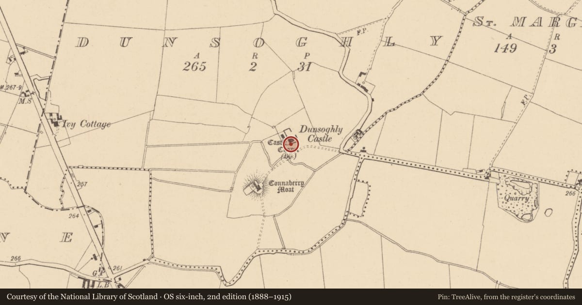 Ordnance Survey six-inch map, 2nd edition (1888–1915) covering the location of Chapel, Dunsoghly, County Dublin, with a pin at the register's coordinates