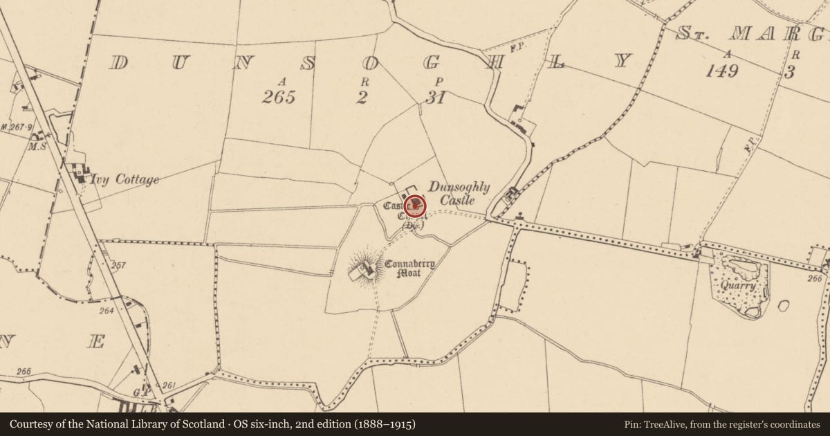 Ordnance Survey six-inch map, 2nd edition (1888–1915) covering the location of Crucifixion plaque, Dunsoghly, County Dublin, with a pin at the register's coordinates