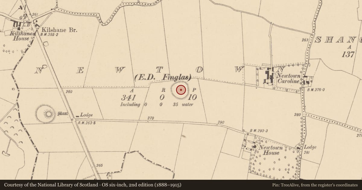Ordnance Survey six-inch map, 2nd edition (1888–1915) covering the location of Ringfort - unclassified, Newtown, County Dublin, with a pin at the register's coordinates