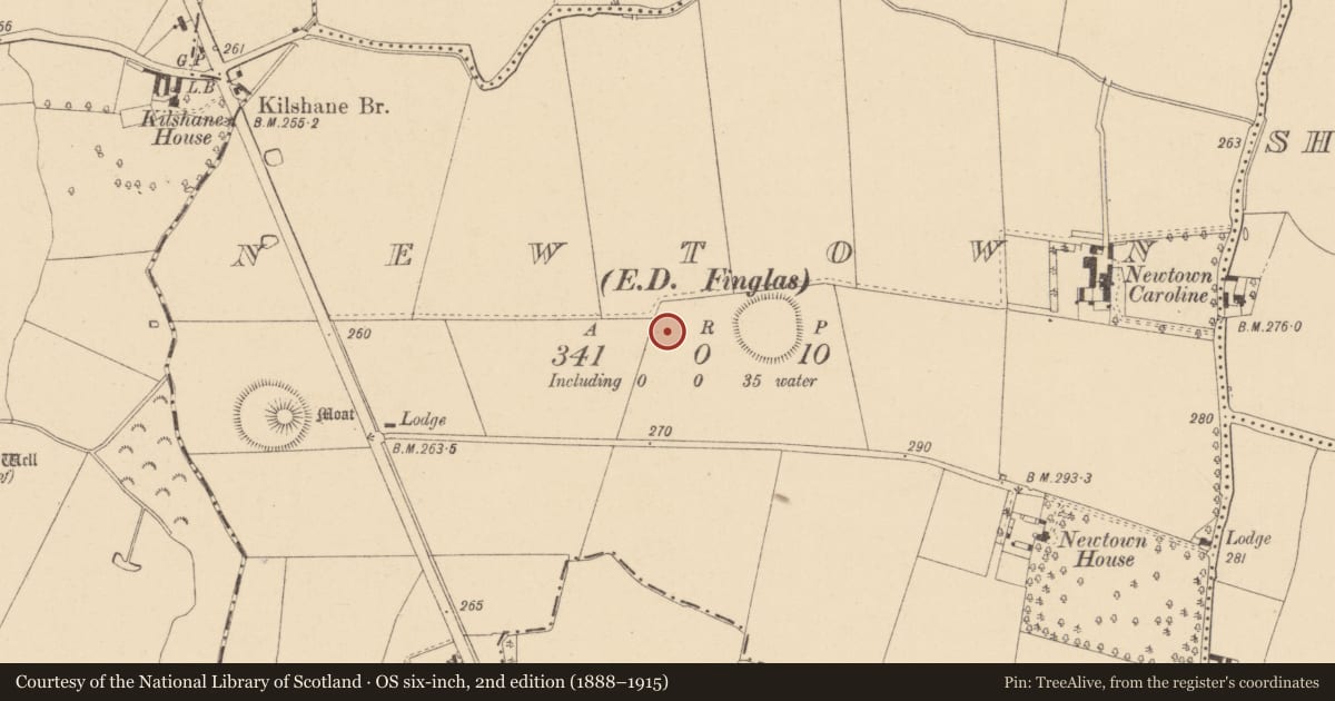 Ordnance Survey six-inch map, 2nd edition (1888–1915) covering the location of Ringfort - unclassified, Newtown, County Dublin, with a pin at the register's coordinates