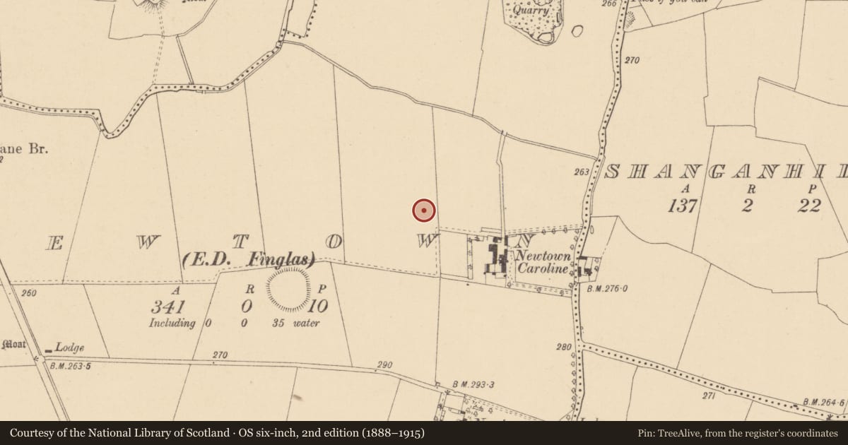 Ordnance Survey six-inch map, 2nd edition (1888–1915) covering the location of Enclosure, Newtown, County Dublin, with a pin at the register's coordinates