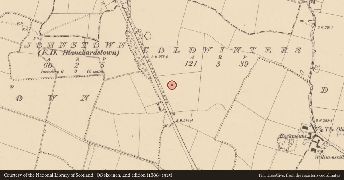 Ordnance Survey six-inch map, 2nd edition (1888–1915) covering the location of Ring-ditch, Coldwinters, County Dublin, with a pin at the register's coordinates