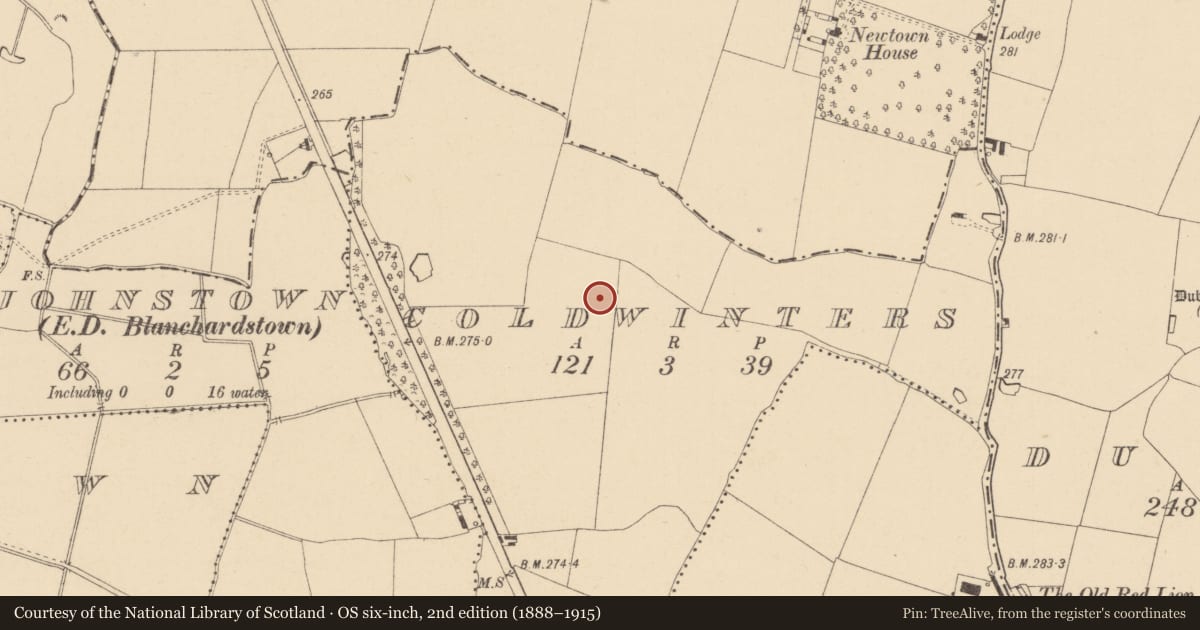 Ordnance Survey six-inch map, 2nd edition (1888–1915) covering the location of Enclosure, Coldwinters, County Dublin, with a pin at the register's coordinates