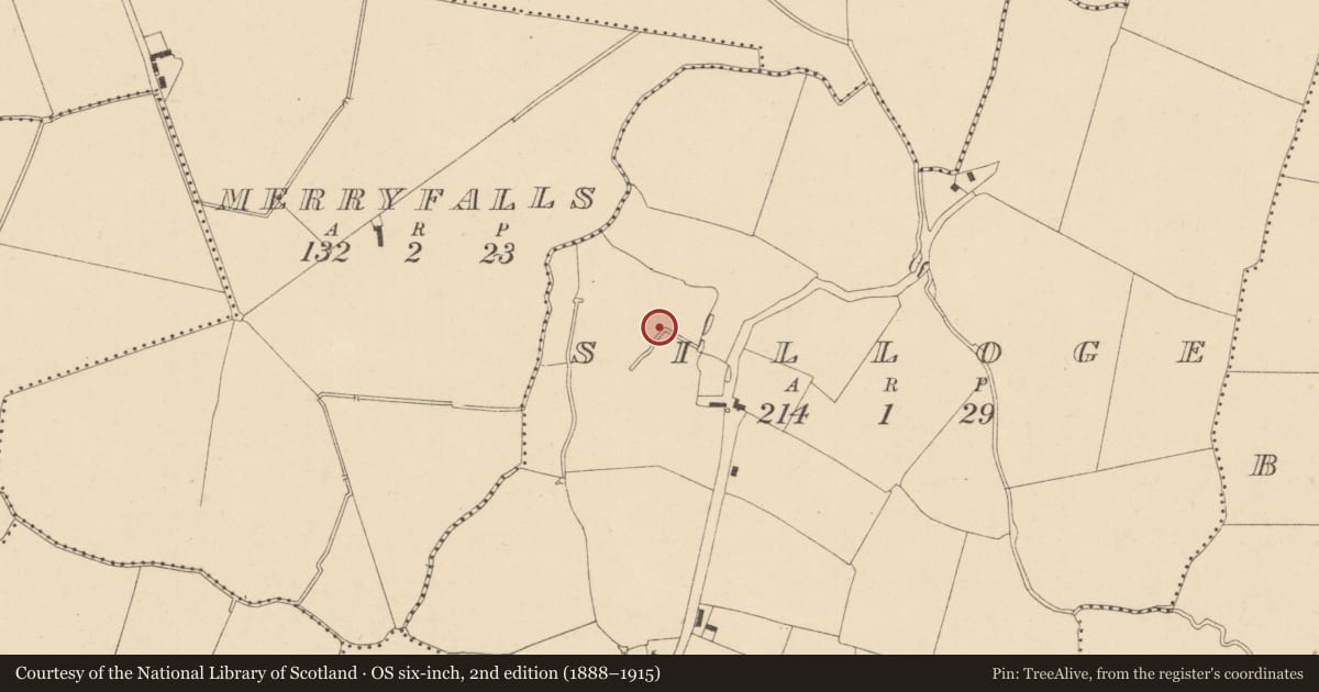 Ordnance Survey six-inch map, 2nd edition (1888–1915) covering the location of Field system, Silloge, County Dublin, with a pin at the register's coordinates