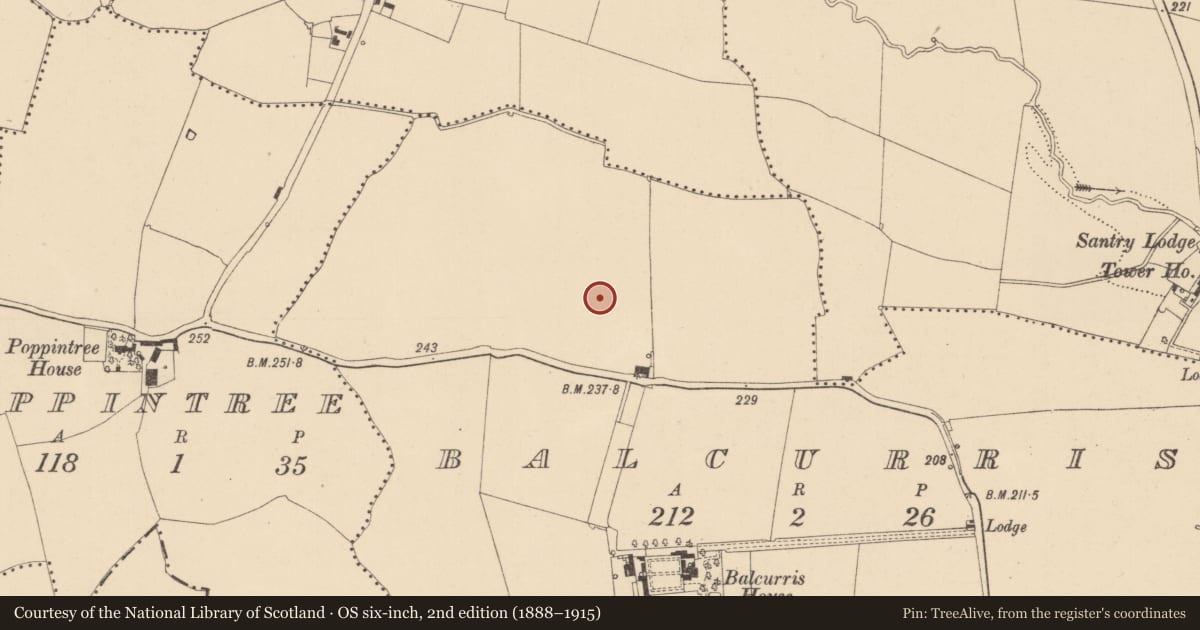 Ordnance Survey six-inch map, 2nd edition (1888–1915) covering the location of Enclosure, Balcurris, County Dublin, with a pin at the register's coordinates