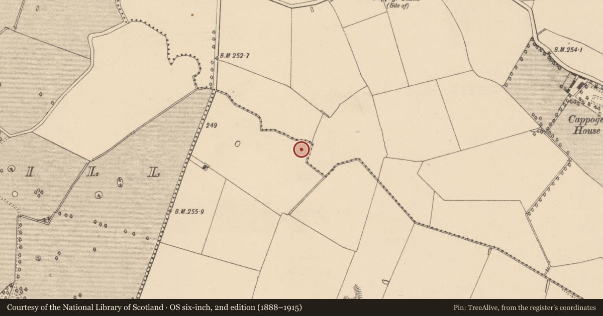 Ordnance Survey six-inch map, 2nd edition (1888–1915) covering the location of Ring-ditch, Dunsink, County Dublin, with a pin at the register's coordinates