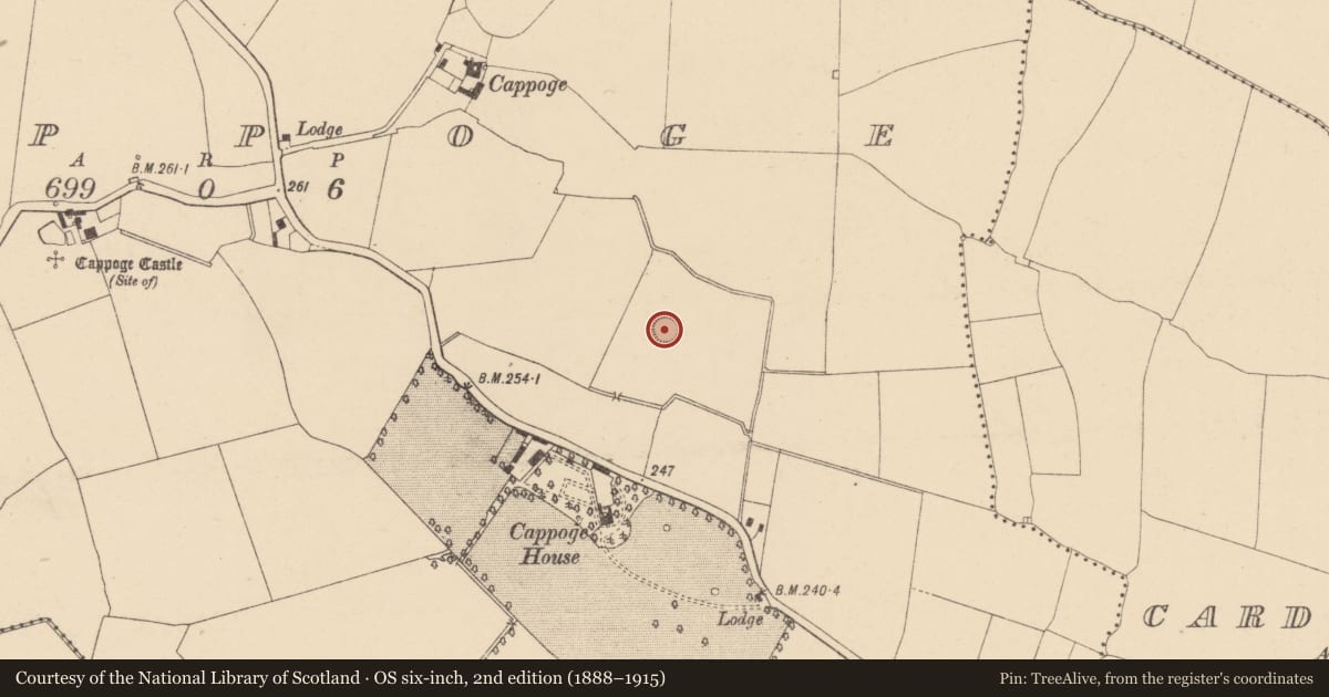 Ordnance Survey six-inch map, 2nd edition (1888–1915) covering the location of Ringfort - unclassified, Cappoge, County Dublin, with a pin at the register's coordinates