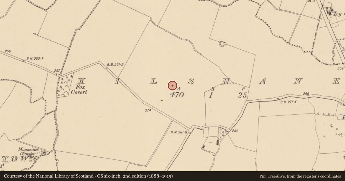 Ordnance Survey six-inch map, 2nd edition (1888–1915) covering the location of Burial ground, Kilshane, County Dublin, with a pin at the register's coordinates