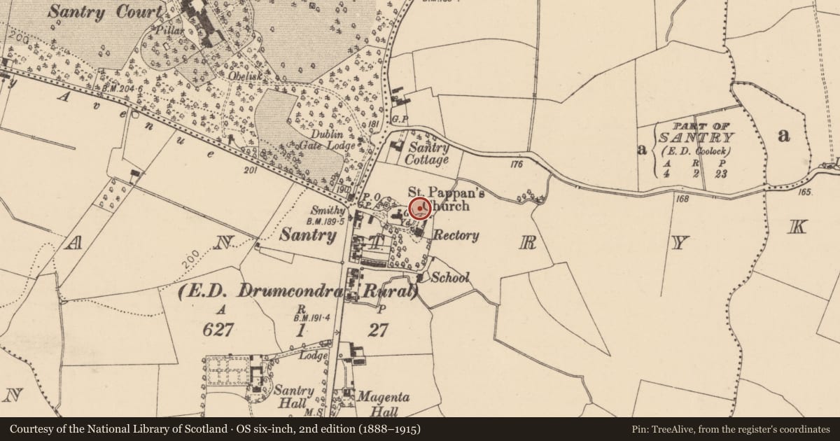 Ordnance Survey six-inch map, 2nd edition (1888–1915) covering the location of Graveyard, County Dublin, with a pin at the register's coordinates