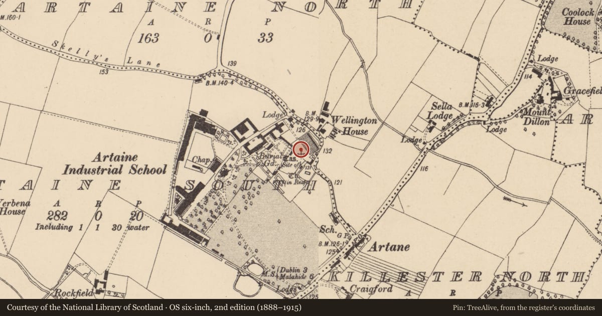 Ordnance Survey six-inch map, 2nd edition (1888–1915) covering the location of Castle - unclassified, County Dublin, with a pin at the register's coordinates