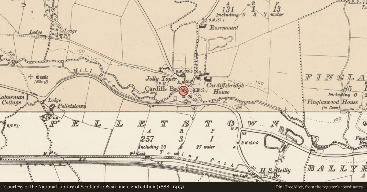 Ordnance Survey six-inch map, 2nd edition (1888–1915) covering the location of Bridge, County Dublin, with a pin at the register's coordinates