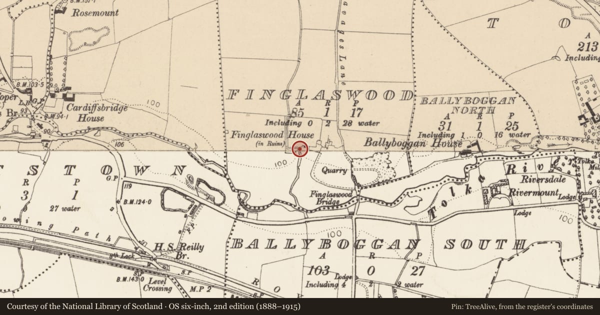 Ordnance Survey six-inch map, 2nd edition (1888–1915) covering the location of Castle - tower house, County Dublin, with a pin at the register's coordinates