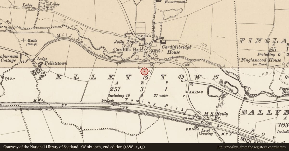 Ordnance Survey six-inch map, 2nd edition (1888–1915) covering the location of Burial ground, County Dublin, with a pin at the register's coordinates