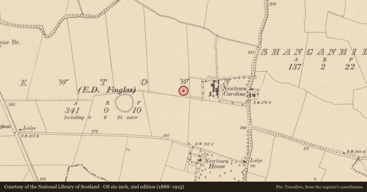 Ordnance Survey six-inch map, 2nd edition (1888–1915) covering the location of Ringfort - unclassified, Newtown, County Dublin, with a pin at the register's coordinates