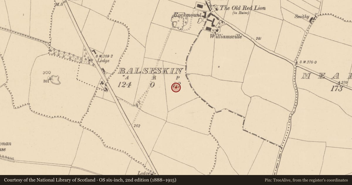 Ordnance Survey six-inch map, 2nd edition (1888–1915) covering the location of Enclosure, Balseskin, County Dublin, with a pin at the register's coordinates