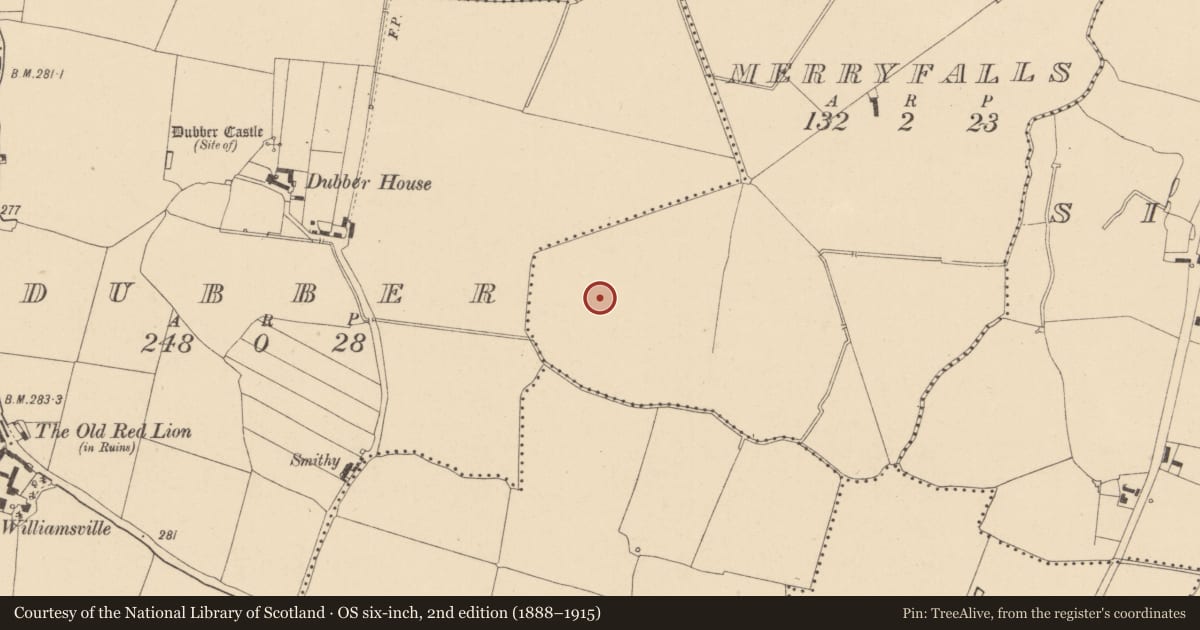 Ordnance Survey six-inch map, 2nd edition (1888–1915) covering the location of Enclosure, Merryfalls, County Dublin, with a pin at the register's coordinates