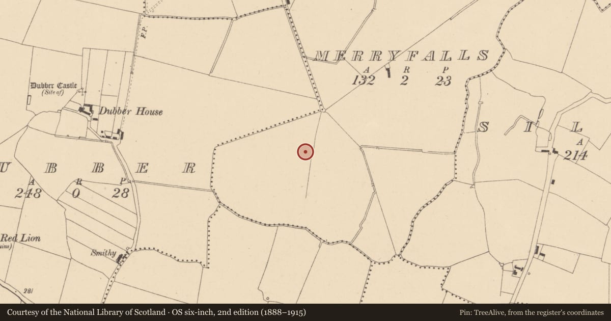Ordnance Survey six-inch map, 2nd edition (1888–1915) covering the location of Field system, Merryfalls, County Dublin, with a pin at the register's coordinates