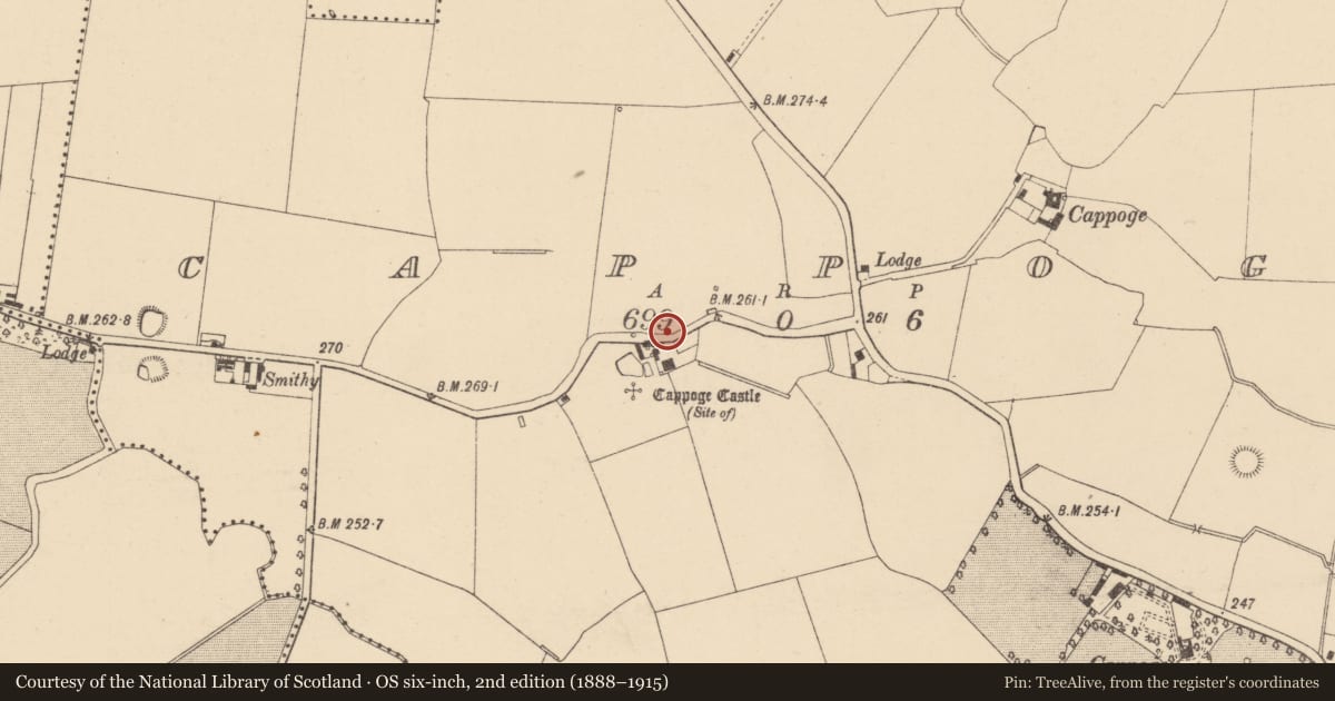 Ordnance Survey six-inch map, 2nd edition (1888–1915) covering the location of Structure, Cappoge, County Dublin, with a pin at the register's coordinates