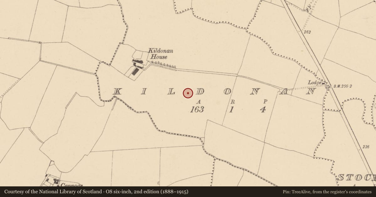 Ordnance Survey six-inch map, 2nd edition (1888–1915) covering the location of Enclosure, Kildonan, County Dublin, with a pin at the register's coordinates