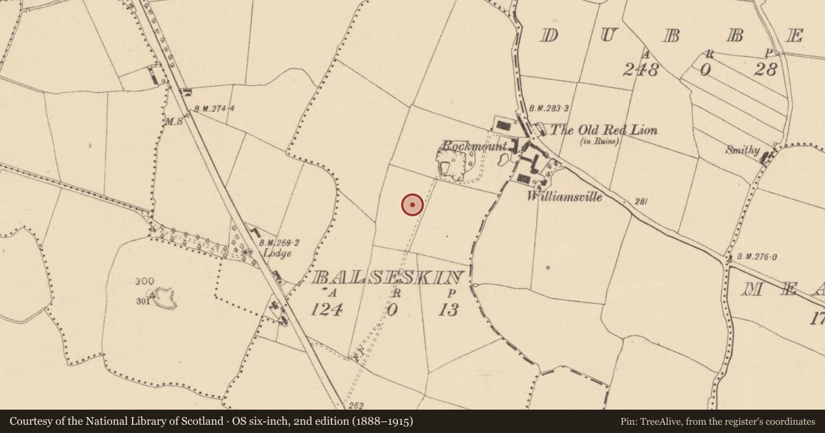 Ordnance Survey six-inch map, 2nd edition (1888–1915) covering the location of Enclosure, Balseskin, County Dublin, with a pin at the register's coordinates
