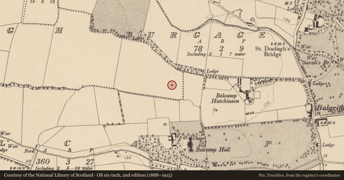 Ordnance Survey six-inch map, 2nd edition (1888–1915) covering the location of Ring-ditch, Clonshagh, County Dublin, with a pin at the register's coordinates