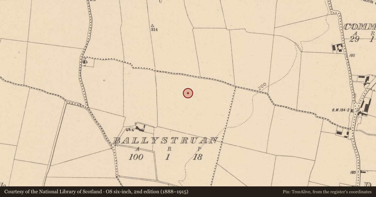 Ordnance Survey six-inch map, 2nd edition (1888–1915) covering the location of Earthwork, Ballystruan, County Dublin, with a pin at the register's coordinates