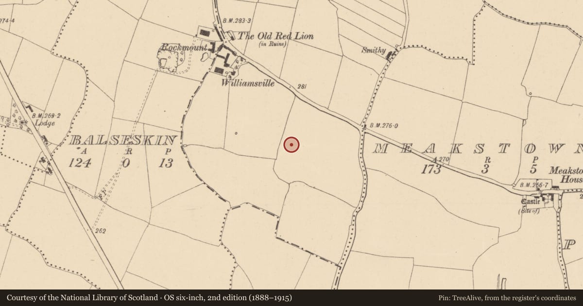 Ordnance Survey six-inch map, 2nd edition (1888–1915) covering the location of Ring-ditch, Dubber, County Dublin, with a pin at the register's coordinates