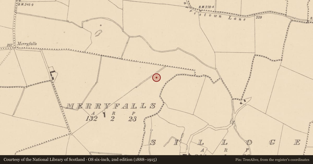 Ordnance Survey six-inch map, 2nd edition (1888–1915) covering the location of Earthwork, Merryfalls, County Dublin, with a pin at the register's coordinates