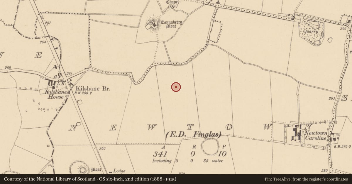 Ordnance Survey six-inch map, 2nd edition (1888–1915) covering the location of Ring-ditch, Newtown, County Dublin, with a pin at the register's coordinates