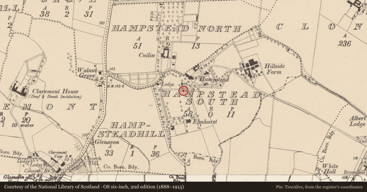 Ordnance Survey six-inch map, 2nd edition (1888–1915) covering the location of Castle - unclassified, County Dublin, with a pin at the register's coordinates