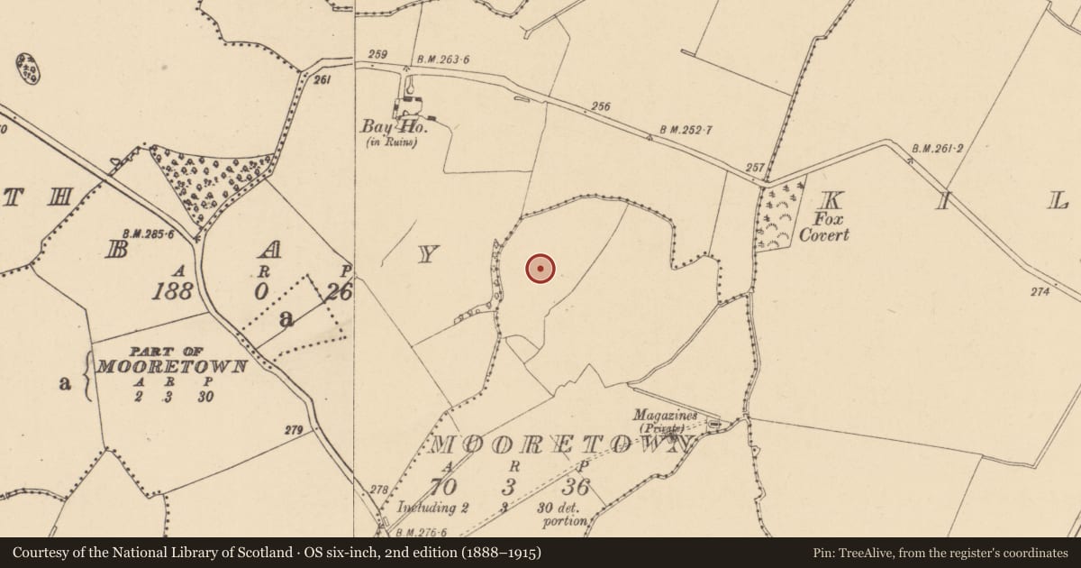 Ordnance Survey six-inch map, 2nd edition (1888–1915) covering the location of Fulacht fia, Mooretown, County Dublin, with a pin at the register's coordinates