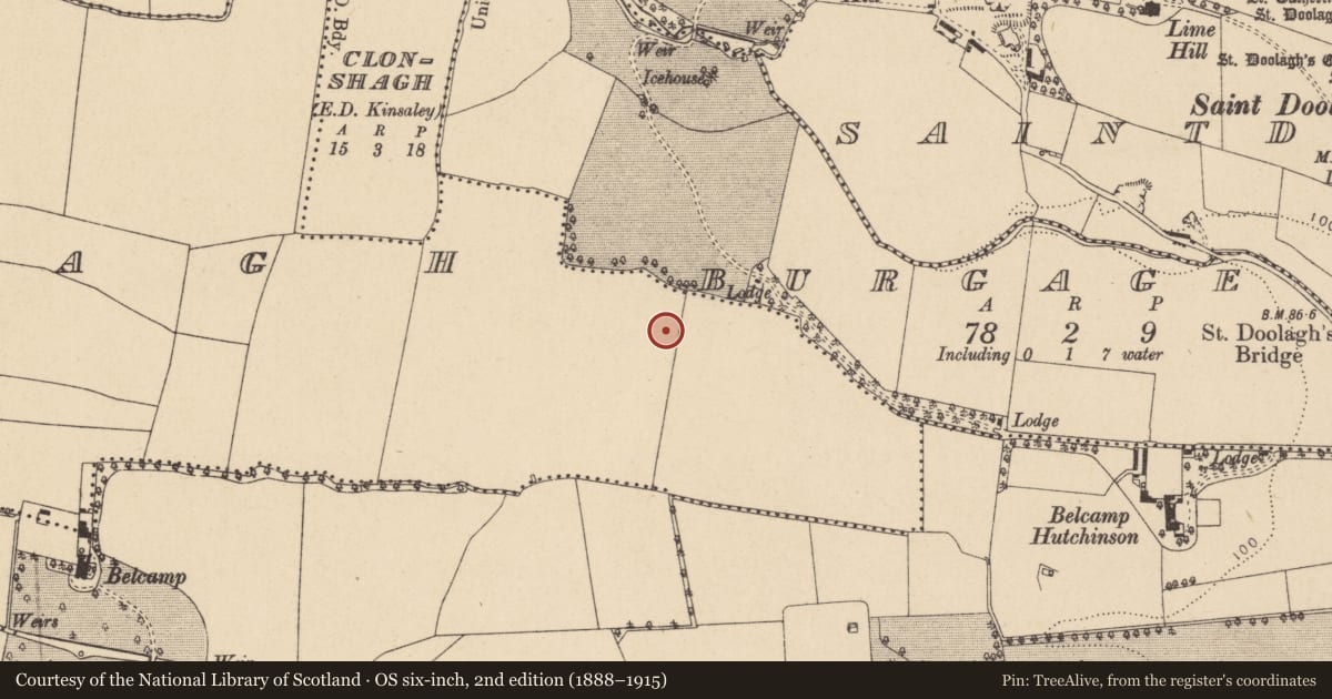 Ordnance Survey six-inch map, 2nd edition (1888–1915) covering the location of Ring-ditch, Clonshagh, County Dublin, with a pin at the register's coordinates