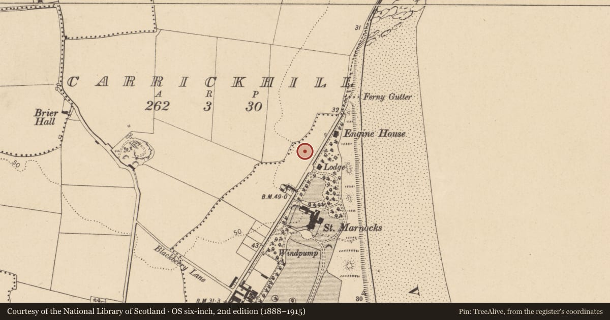 Ordnance Survey six-inch map, 2nd edition (1888–1915) covering the location of Ring-ditch, Burrow, County Dublin, with a pin at the register's coordinates