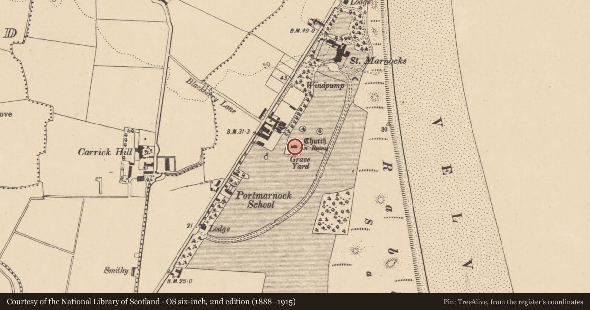 Ordnance Survey six-inch map, 2nd edition (1888–1915) covering the location of Church, Burrow, County Dublin, with a pin at the register's coordinates