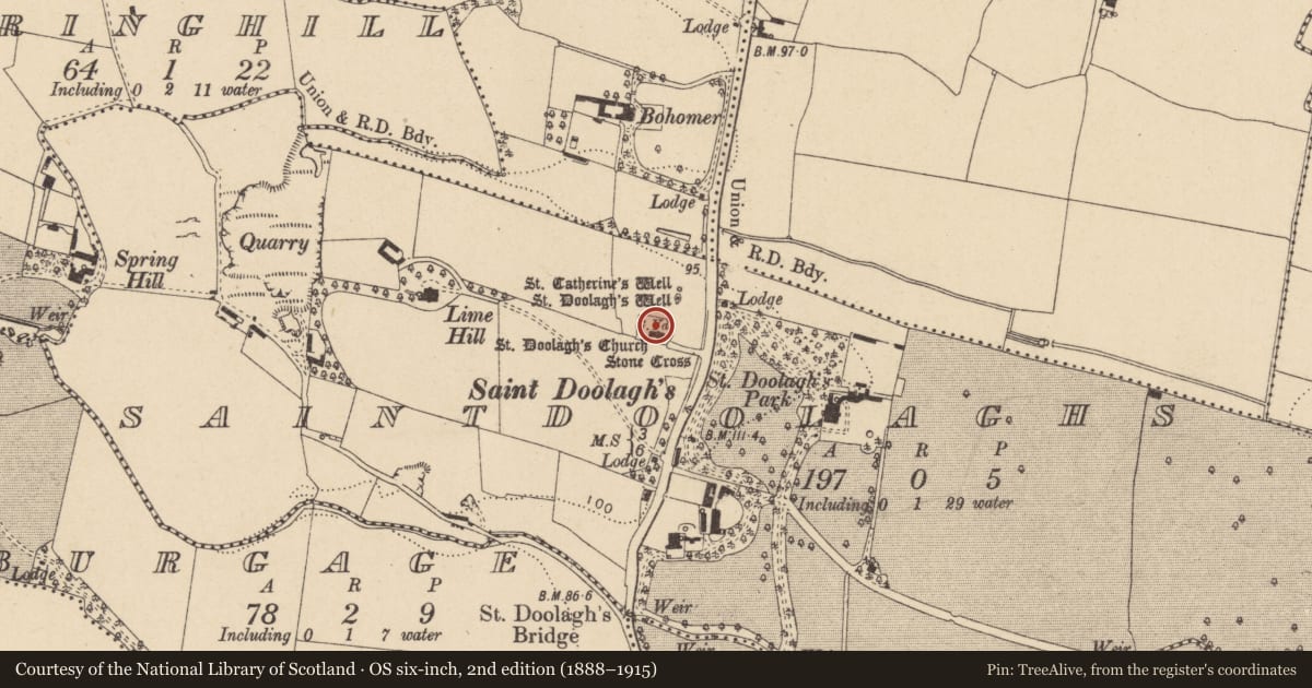 Ordnance Survey six-inch map, 2nd edition (1888–1915) covering the location of Graveyard, Saintdoolaghs, County Dublin, with a pin at the register's coordinates